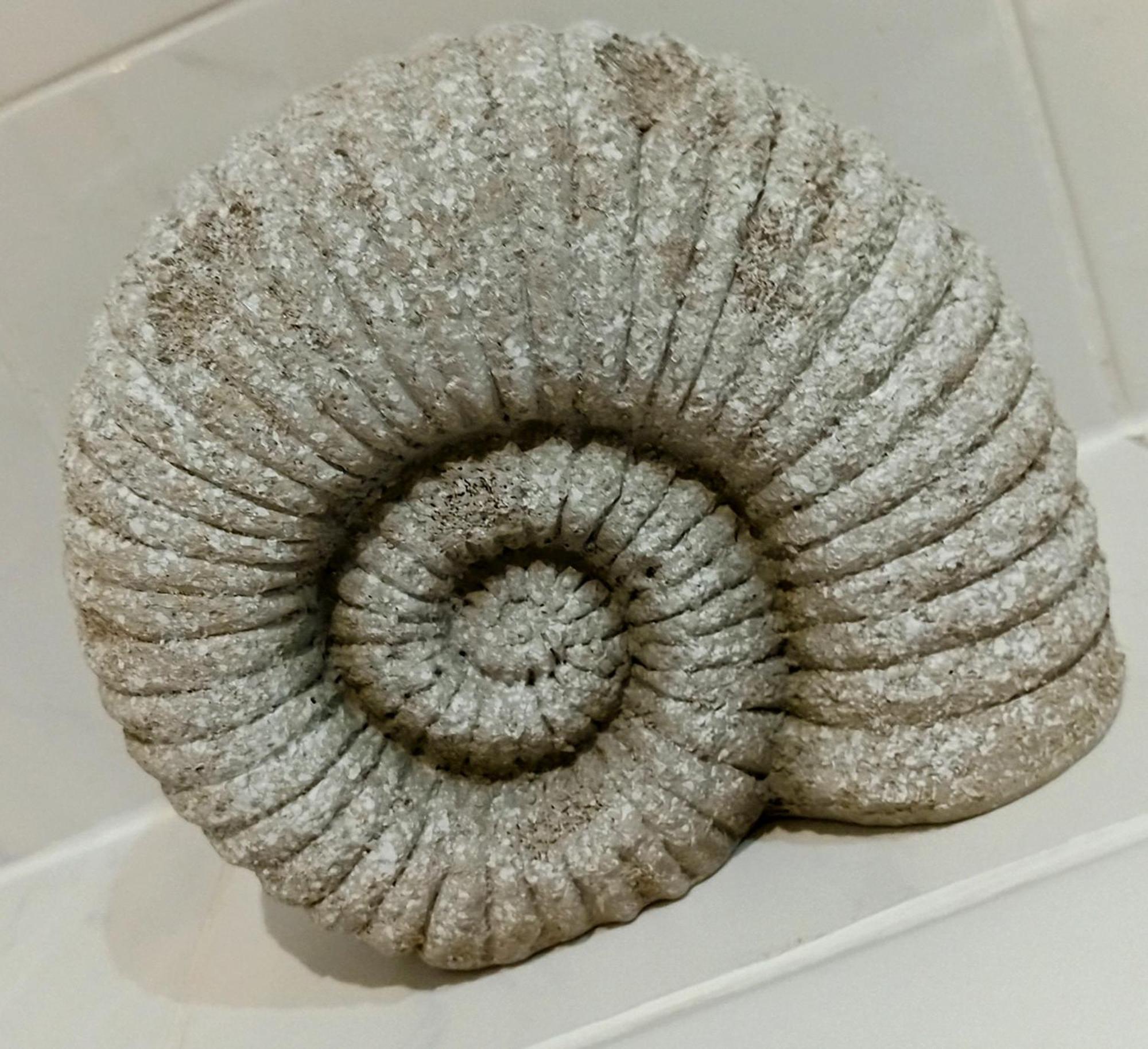 דירות בנגור Sea Surf מראה חיצוני תמונה